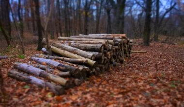 How Long to Season Hickory Firewood