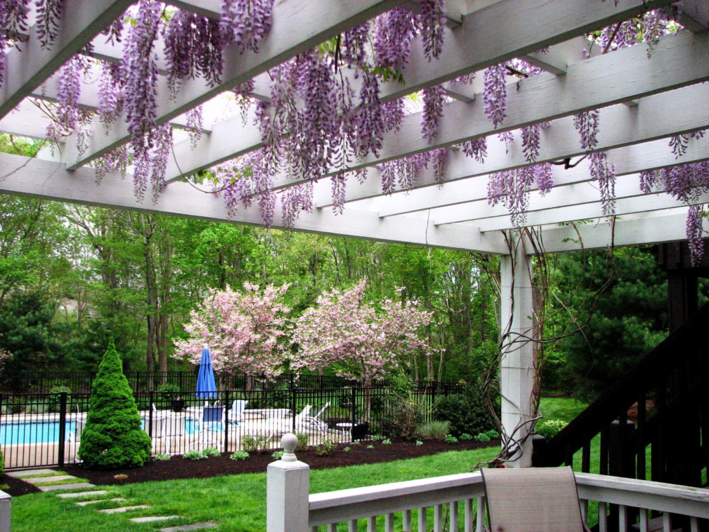 Best Plants to Grow Under Pergola